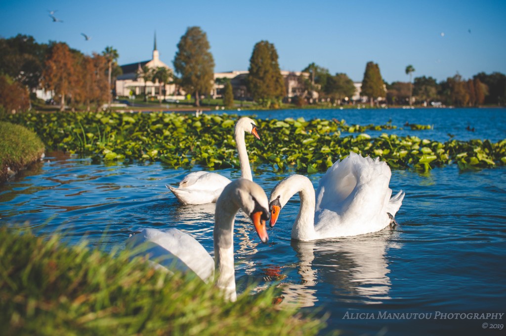 Three of a&nbsp;Kind