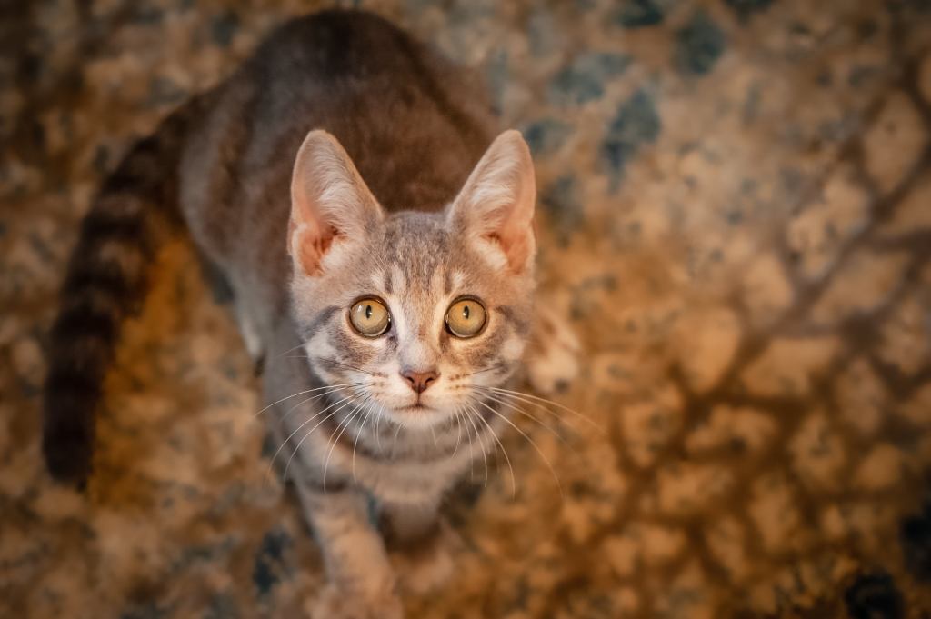 A terrible, no good, very bad&nbsp;day