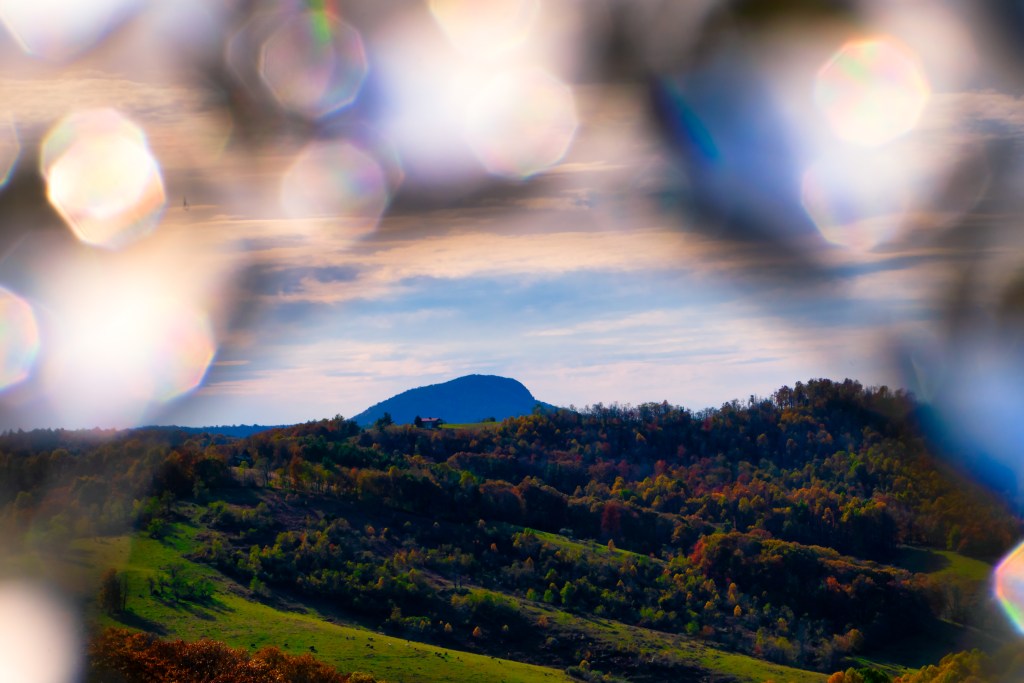 The Year I Stopped Looking Back and Started Living RV&nbsp;Life